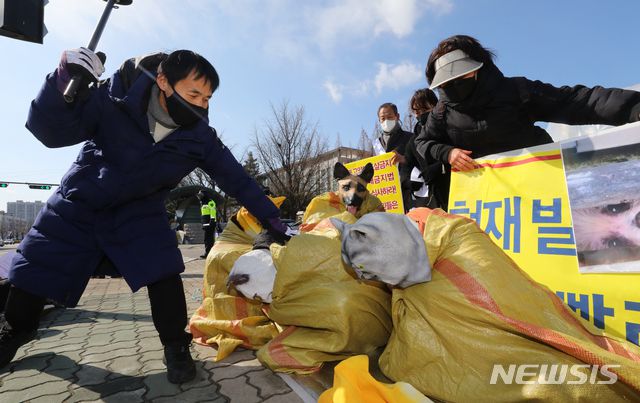 [서울=뉴시스]배훈식 기자 = 반려동물단체 회원들이 17일 오후 서울 여의도 국회 앞에서 기자회견을 열고 개와 고양이의 도살, 식용 판매를 금지하는 내용의 동물보호법 개정법률의 빠른 국회 통과를 촉구하는 퍼포먼스를 하고 있다. 2021.02.17. dahora83@newsis.com
