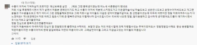 /사진=유튜브 채널 '검은고양이 다홍 Blackcat Dahong' 댓글 캡처