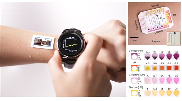땀 체적 유량 및 총 손실을 실시간으로 측정하는 피부 부착형 무선 전자 패치(왼쪽)와 땀 내 염화물, ph, 크레아틴, 포도당 동시 측정이 가능한 미세유체 시스템 (오른쪽). /사진=카이스트