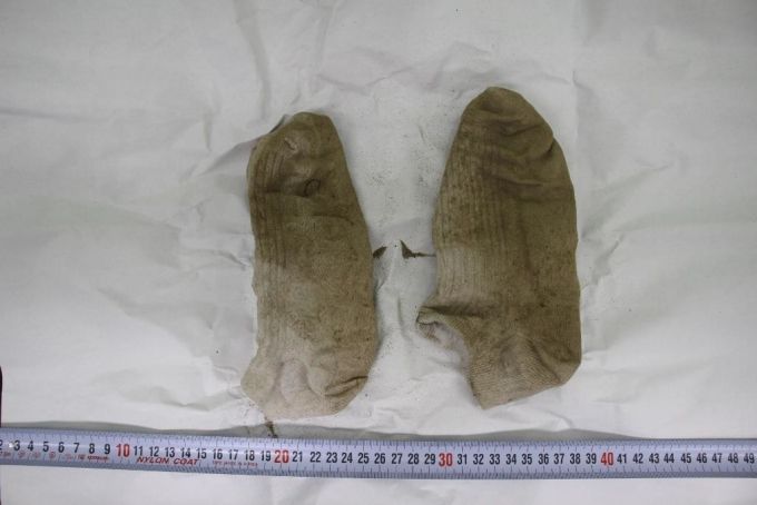 고 손정민씨 시신에서 발견된 양말 /사진=서울경찰청