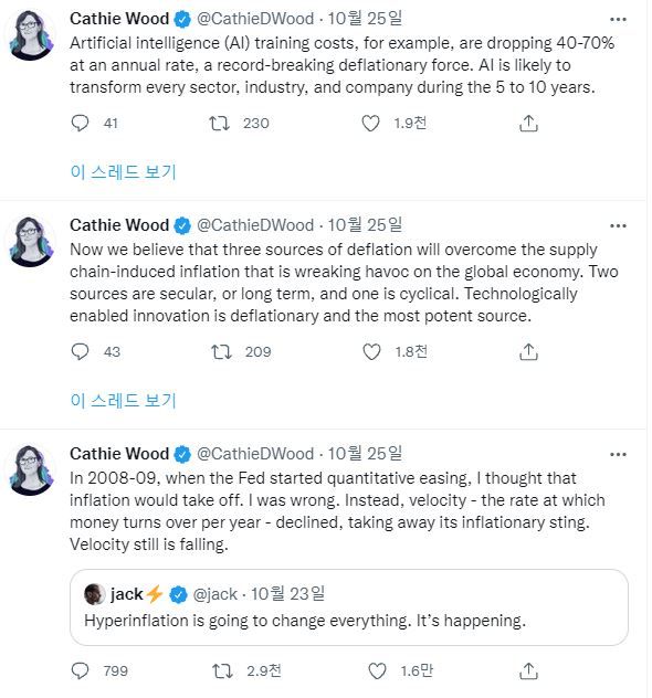 /사진=캐시 우드 아크인베스트먼트 최고경영자 트위터