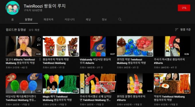 26일 오후 '쌍둥이 루지' 채널에 올라와 있는 콘텐츠 목록 /사진=화면 캡처
