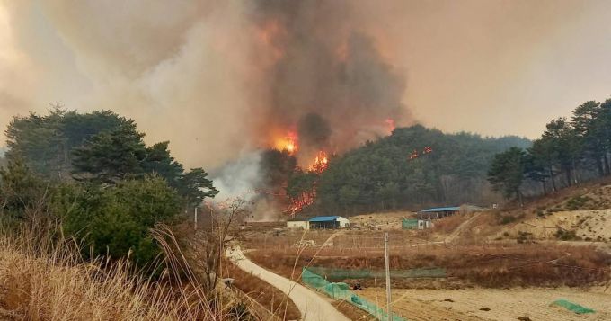 [서울=뉴시스] 4일 경북 울진군 북면 두천리 289 일원에서 산불이 발생해 대형산불주의보가 발령되었다. (사진=소방청 제공) 2022.03.04. *재판매 및 DB 금지