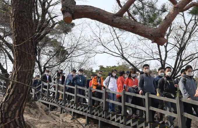 지난 2020년 11월 1일 북악산 북측면 개방이 이뤄진 지 1년 6개월 만인 오는 6일 북악산 남측면이 전면 개방된다. 사진은 청운대쉼터에서 청와대 뒤편으로 내려오는 길./사진=뉴시스