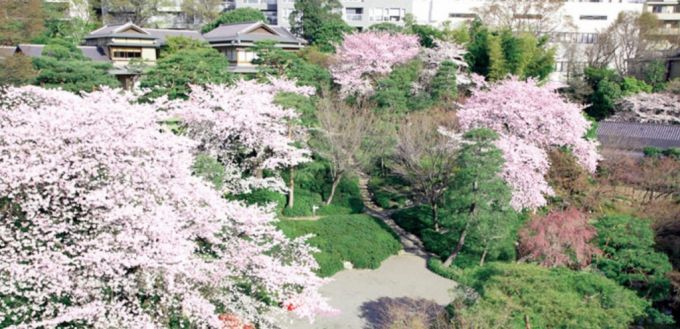 조 바이든 미국 대통령과 기시다 후미오 일본 총리가 만찬을 나눈 일본 도쿄 '핫포엔'의 전경/사진=핫포엔 공식 홈페이지