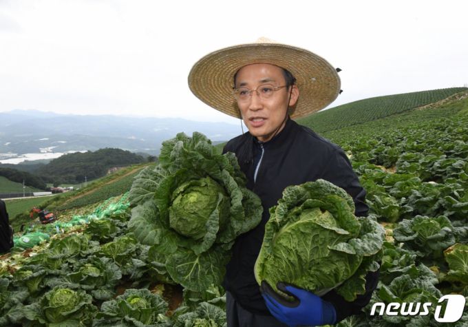 추경호 경제부총리 겸 기획재정부 장관이 13일 강원도 강릉에 위치한 고랭지 배추밭을 방문해 배추 생육상태를 점검하고 있다./사진제공=기획재정부