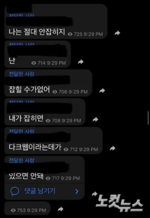 제2의 n번방 범죄를 저지른 주범 '엘'(가칭)이 자신은 잡히지 않는다고 보냈던 메시지. /사진=CBS 라디오