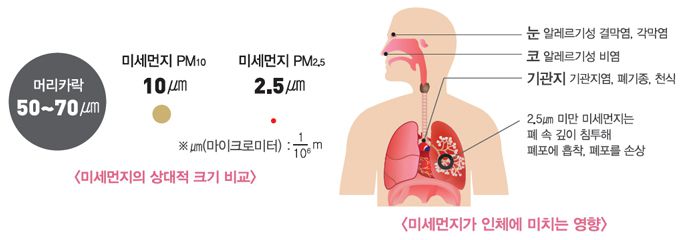 미세먼지 크기와 그 유해성. / 사진=수도권대기환경청