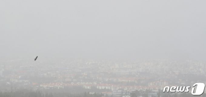 황사에 갇힌 제주 도심/사진=뉴스1