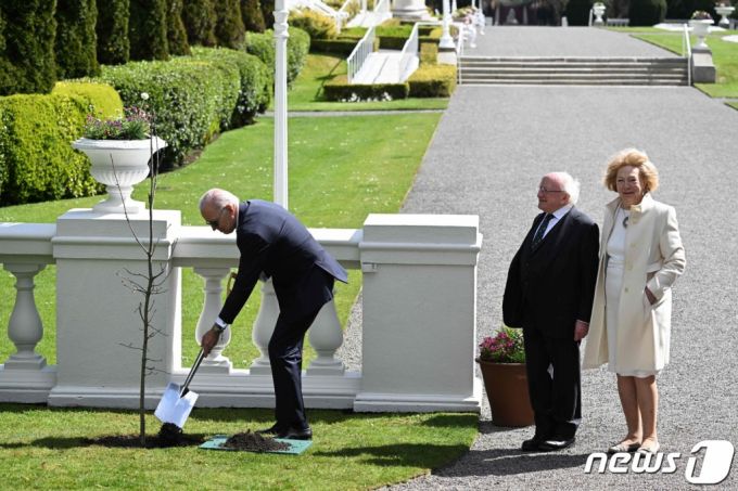 (더블린 AFP=뉴스1) 우동명 기자 = 조 바이든 미국 대통령이 13일 (현지시간) 더블린의 대통령 관저에서 마이클 D. 히긴스 아일랜드 대통령,부인 사비나와 기념 식수를 하고 있다.  ⓒ AFP=뉴스1  Copyright (C) 뉴스1. All rights reserved. 무단 전재 및 재배포 금지.