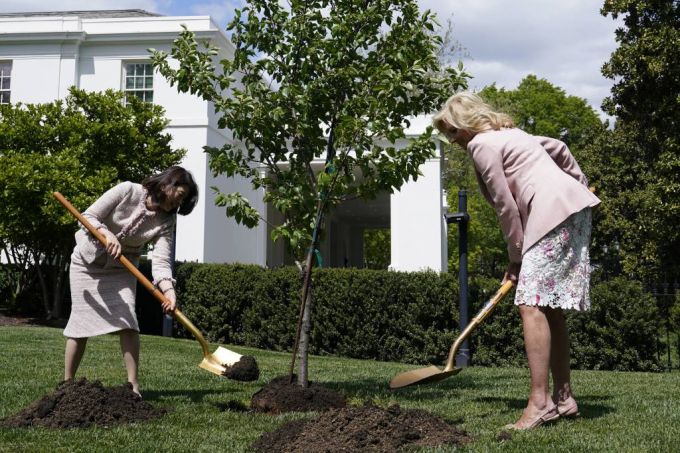 [워싱턴=AP/뉴시스] 조 바이든 미국 대통령의 부인인 질 바이든 여사(오른쪽)와 기시다 후미오 일본 총리의 부인인 기시다 유코 여사가 17일(현지시간) 백악관 남쪽에서 왕벚나무를 식수하고 있다. 2023.04.18