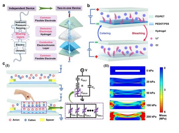 이종철 광운대 교수팀의 연구자료 이미지./사진제공=광운대