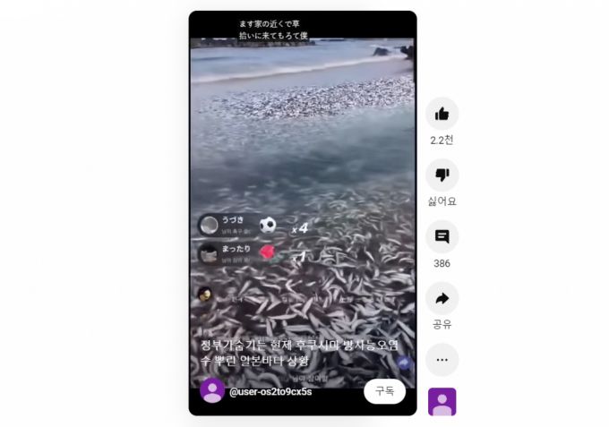 /사진=유튜버 '모든동영상' 채널 갈무리