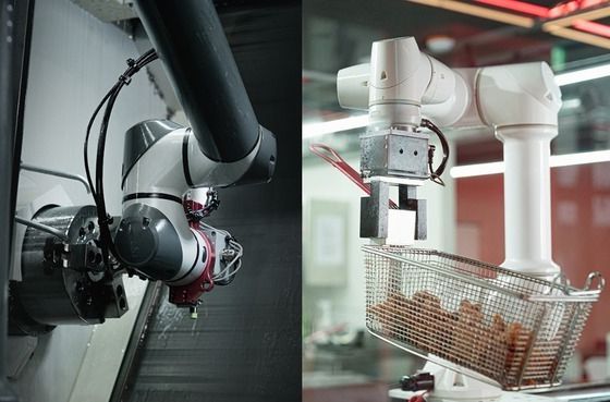 레인보우로보틱스 협동형 로봇. /사진제공-레인보우로보틱스.