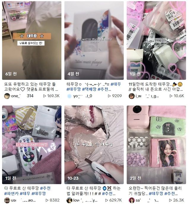 /사진=틱톡 캡쳐