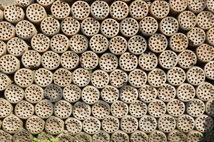 연탄을 위에서 내려다본 모습.