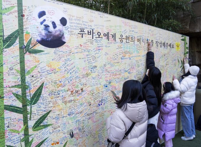 경기 용인시 에버랜드 판다월드에 설치된 푸바오 응원 메시지 월./사진제공=삼성물산