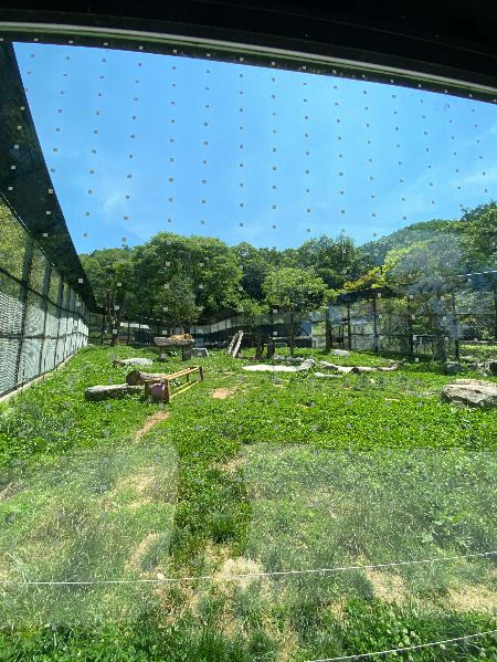 유리창에 일정 간격으로 붙어 있는 점은, 새들이 유리창에 충돌해 죽지 않도록 배려한 스티커. 유리창에 부딪혀 죽는 새가 한 해 800만 마리다. 어찌 보면 사소하게 여길 부분에서조차 마음이 다 느껴지는 것./사진=남형도 기자