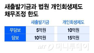 새출발기금과 법원 개인회생제도 채무조정 한도/그래픽=이지혜