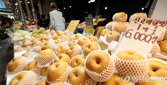 (서울=뉴스1) 김명섭 기자 = 7일 서울 동대문구 한 재래시장에서 시민들이 과일을 살펴보고 있다. /사진=(서울=뉴스1) 김명섭 기자