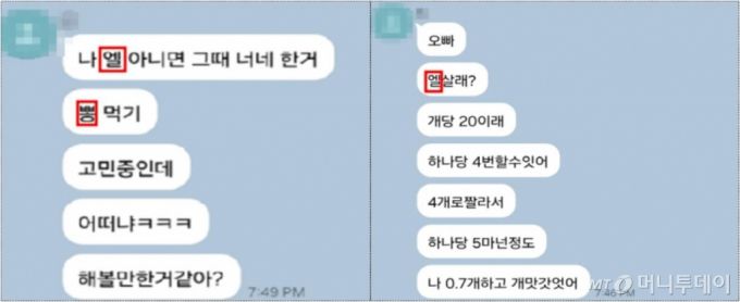 연합대학동이리 회원들이 LSD와 대마 등의 투약을 권유하는 카카오톡 대화내역. /사진=서울남부지검 제공
