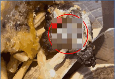 미국에서 한 여성이 맥도날드 햄버거 안에서 구더기가 꿈틀거리는 것을 목격했다고 주장했다. /사진=틱톡 캡처