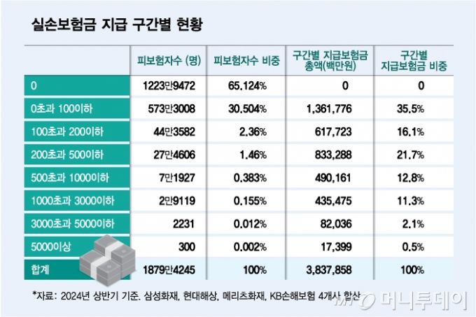 실손보험금 지급 구간별 현황/그래픽=김다나
