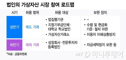 법인의 가상자산 시장 참여 로드맵/그래픽=윤선정