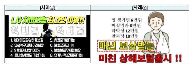 금융감독원이 소비자에게 주의를 당부한 보험 상품 온라인 광고 예시/자료=금융감독원