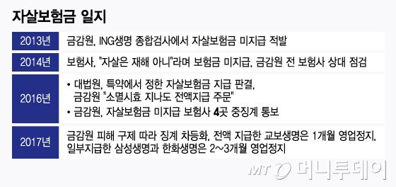 자살보험금 일지/그래픽=윤선정