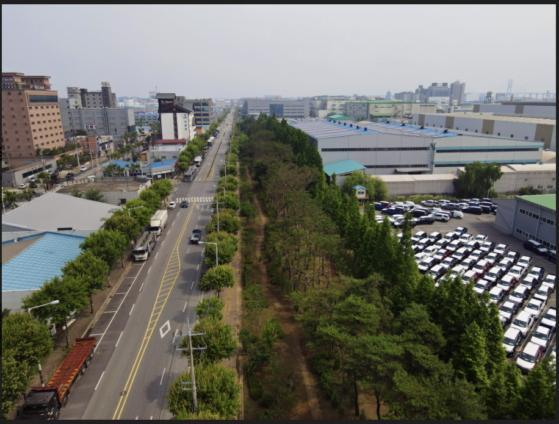 경기도 평택시 포승산업단지 미세먼지 차단숲./사진제공=산림청