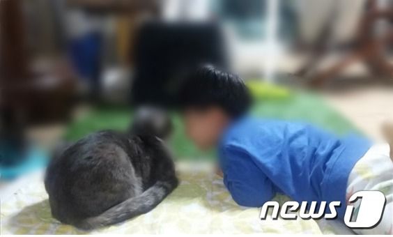 '관악구 모자 살인' 피해자 B군./사진=뉴스1