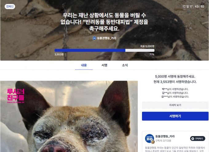 머니투데이