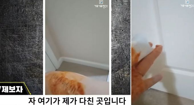 배우 고(故) 김새론 측 녹취 제보자가 미국에서 피습을 당했다고 주장하며 공개한 사진에 대해 배우 김수현 측이 허위라는 입장을 내놓자 제보자가 영상으로 자신이 피습당한 상처를 공개한다고 밝혔다. /사진=유튜브 채널 가로세로연구소 영상 갈무리