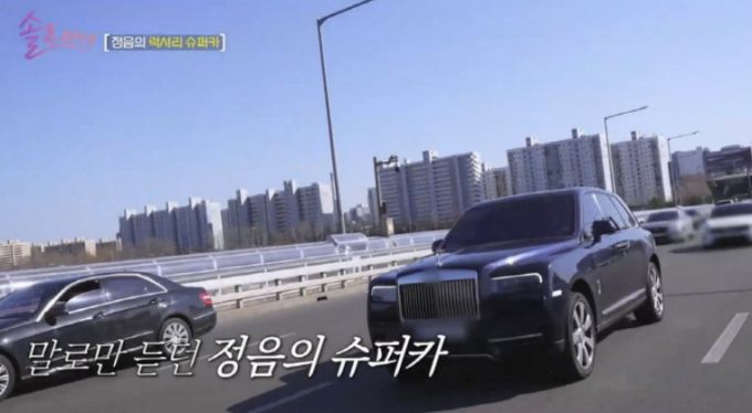 황정음은 지난 3월 '솔로라서'에서 5억원대로 알려진 럭셔리 슈퍼카도 공개했다./사진=SBS플러스·E채널 예능 '솔로라서'