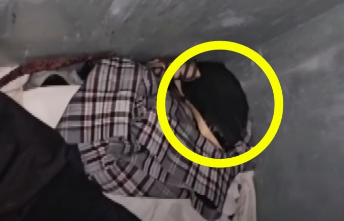 태어난 지 일주일밖에 되지 않은 새끼 강아지들이 헌옷 수거함에서 발견돼 공분을 사고 있다./사진=JTBC 사건반장
