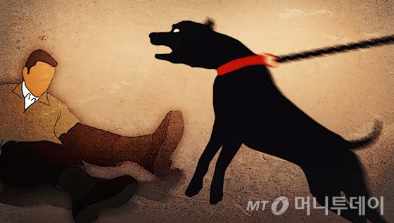 목줄을 끊고 뛰쳐나온 풍산개에게 물린 60대 남성이 숨진 사건과 안전 관리를 제대로 하지 않은 보호자가 금고형 집행유예를 선고받았다./사진=임종철 디자인기자