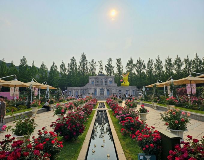 에버랜드 로즈가든에 위치한 장미성/사진=김온유 기자