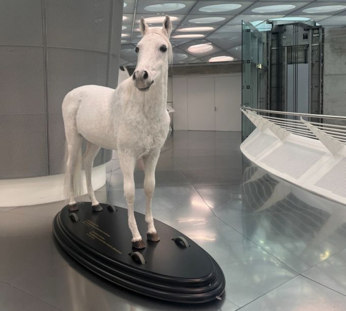 벤츠 박물관 8층에 위치한 백마의 모습. 벡마 아래쪽엔 '빌헬름2세'의 자동차를 향한 회의적인 시각이 담겨 있다./사진= 임찬영 기자