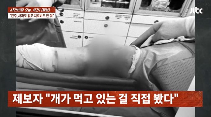 카센터에서 대형견에게 물려 전치 6주 진단을 받은 피해자 측이 개가 떨어진 살점을 먹는 모습을 직접 봤다고 주장했다. /사진=JTBC '사건반장' 방송 화면