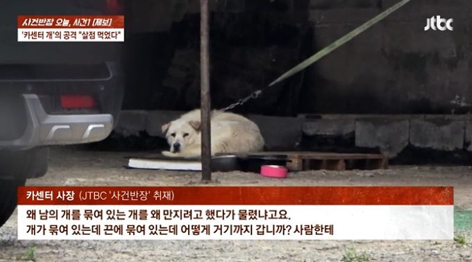 카센터에서 개 물림 사고가 발생한 가운데, 견주인 카센터 사장은 피해자의 과실이 더 많다고 주장했다. /사진=JTBC '사건반장' 방송 화면