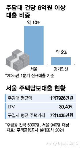주담대 건당 6억원 이상 대출 비중/그래픽=김다나
