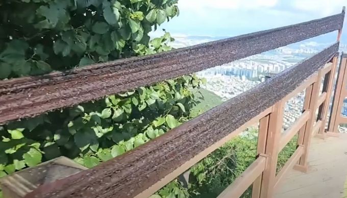 축구 크리에이터 감스트(본명 김인직)가 러브버그 특공대를 자처하며 인천 계양산에 올랐다./사진=유튜브 갈무리