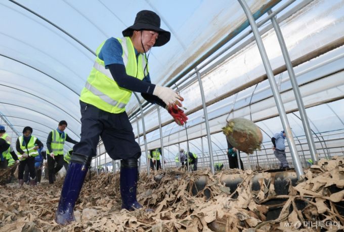 (예산=뉴스1) 김기태 기자 = 정청래 더불어민주당 당대표 후보가 21일 충남 예산 신안면 조곡리에서 수해복구를 하고 있다.  2025.7.21/뉴스1  Copyright (C) 뉴스1. All rights reserved. 무단 전재 및 재배포,  AI학습 이용 금지. /사진=(예산=뉴스1) 김기태 기자