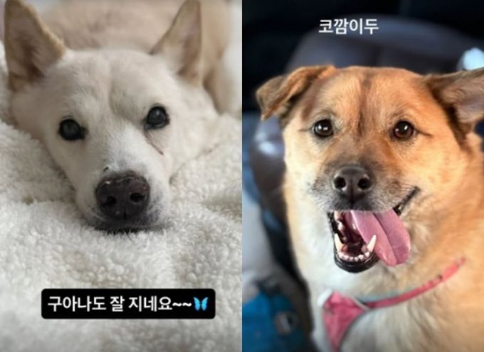 /사진=이효리 인스타그램 캡처