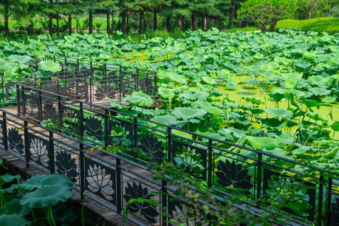 안성시 서일농원./사진제공=경기관광공사