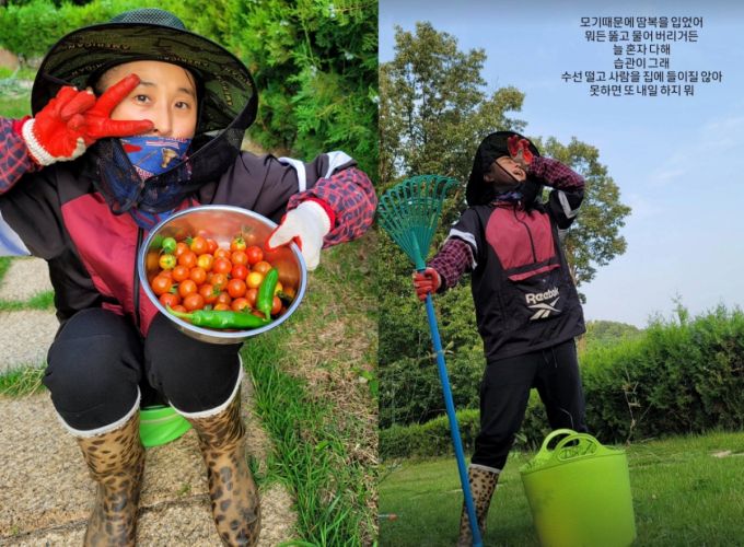 마야가 방송 생활을 접고 귀농 생활을 이어오고 있다. /사진=인스타그램 갈무리