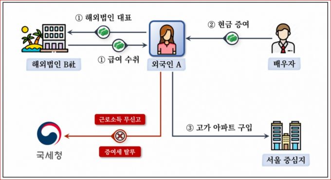 편법 증여로 고가 아파트를 취득한 경우./이미지=국세청 제공.
