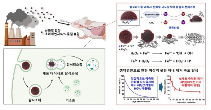조완섭 동아대 교수팀의 연구자료 이미지./사진제공=동아대