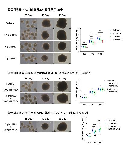 할로페리돌 투여 시점 및 용량에 따른 독성 변화 그래프/사진=국가독성과학연구소